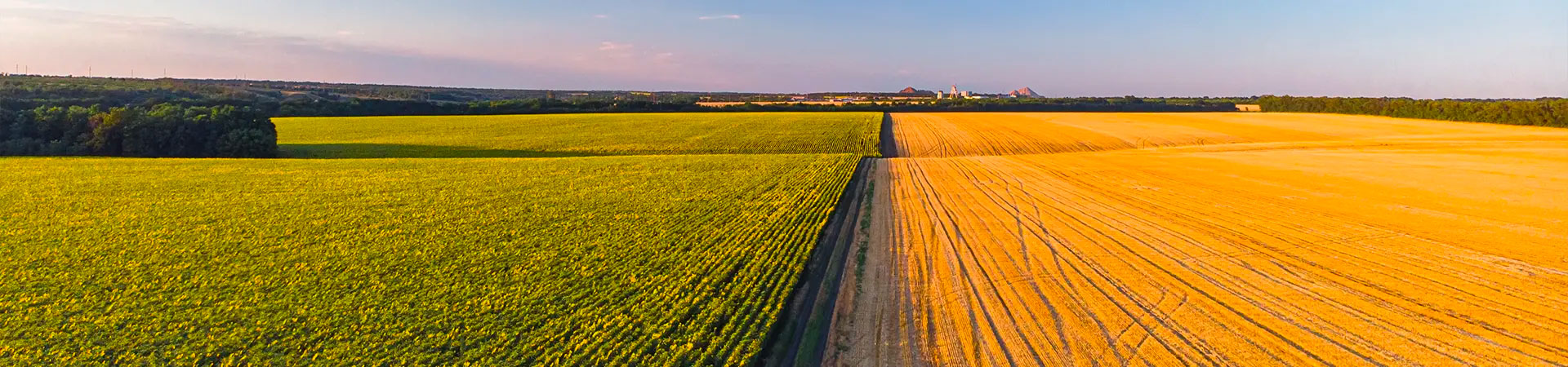 agricoltura-chioggia