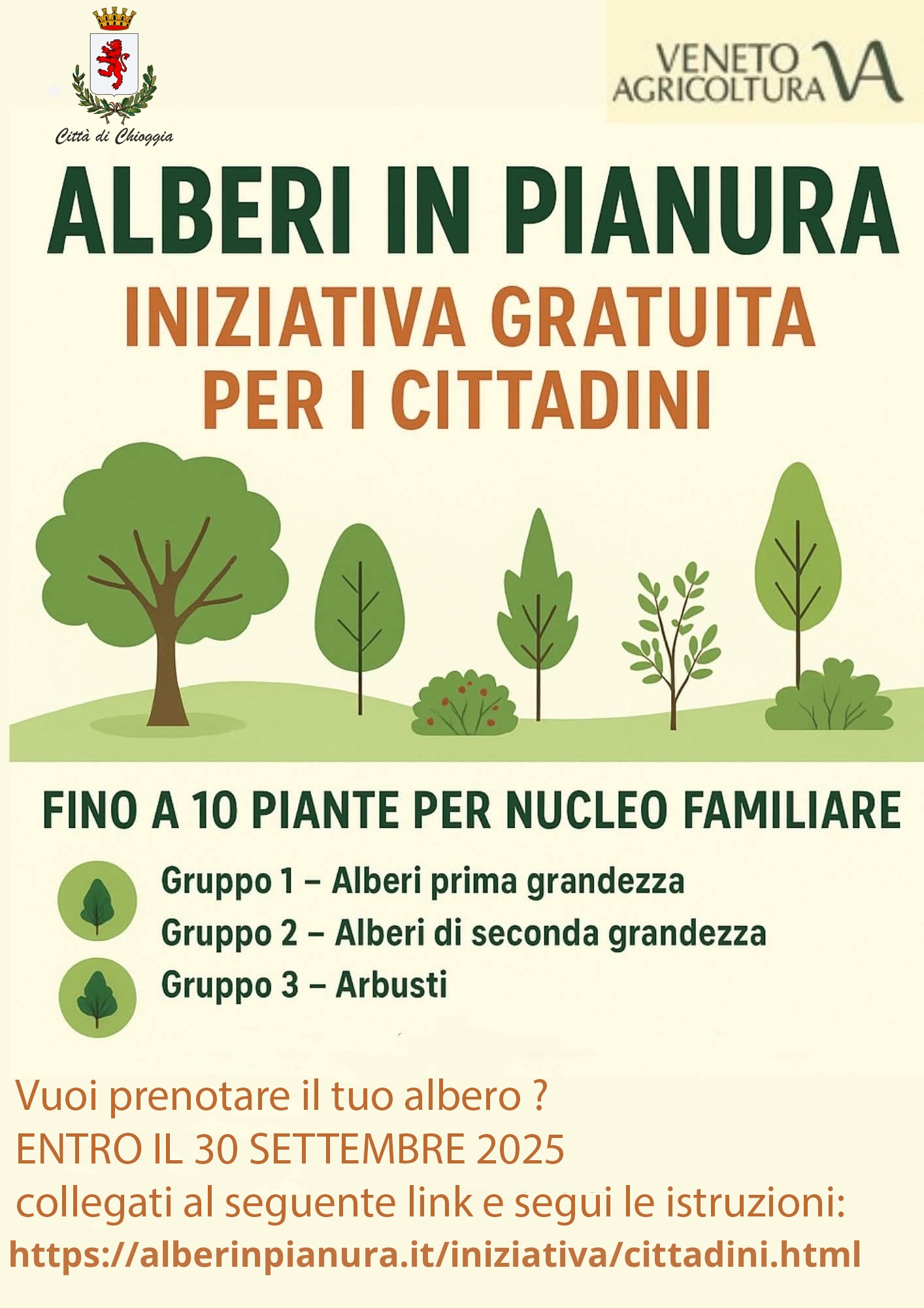 alberi in pianura